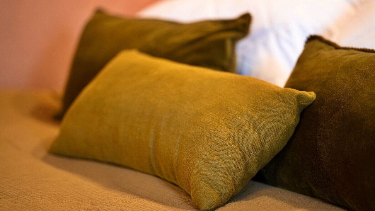 Photo of Others in The Lizard