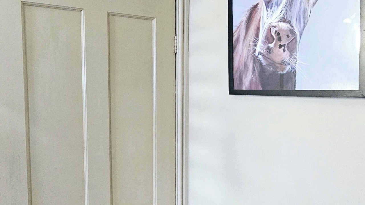 Photo of Others in Catton