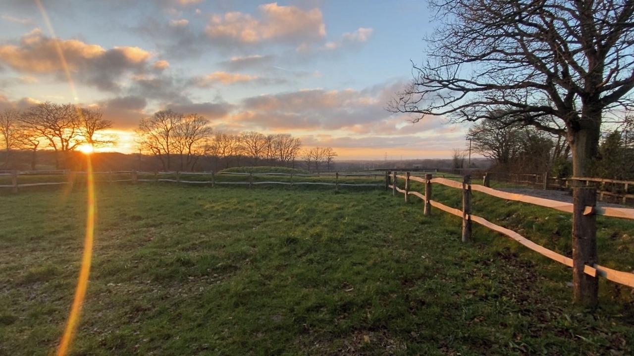 Photo of Others in Cowbeech