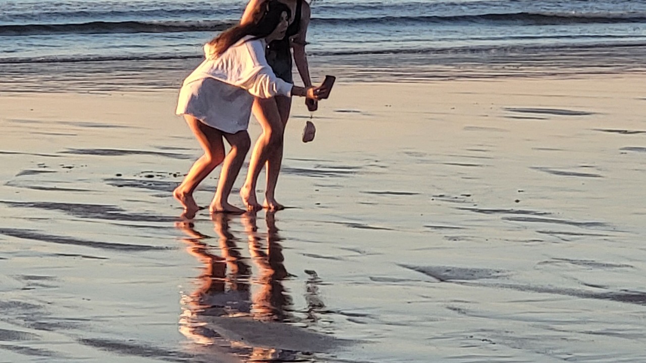 Photo of Others in Ocean Park