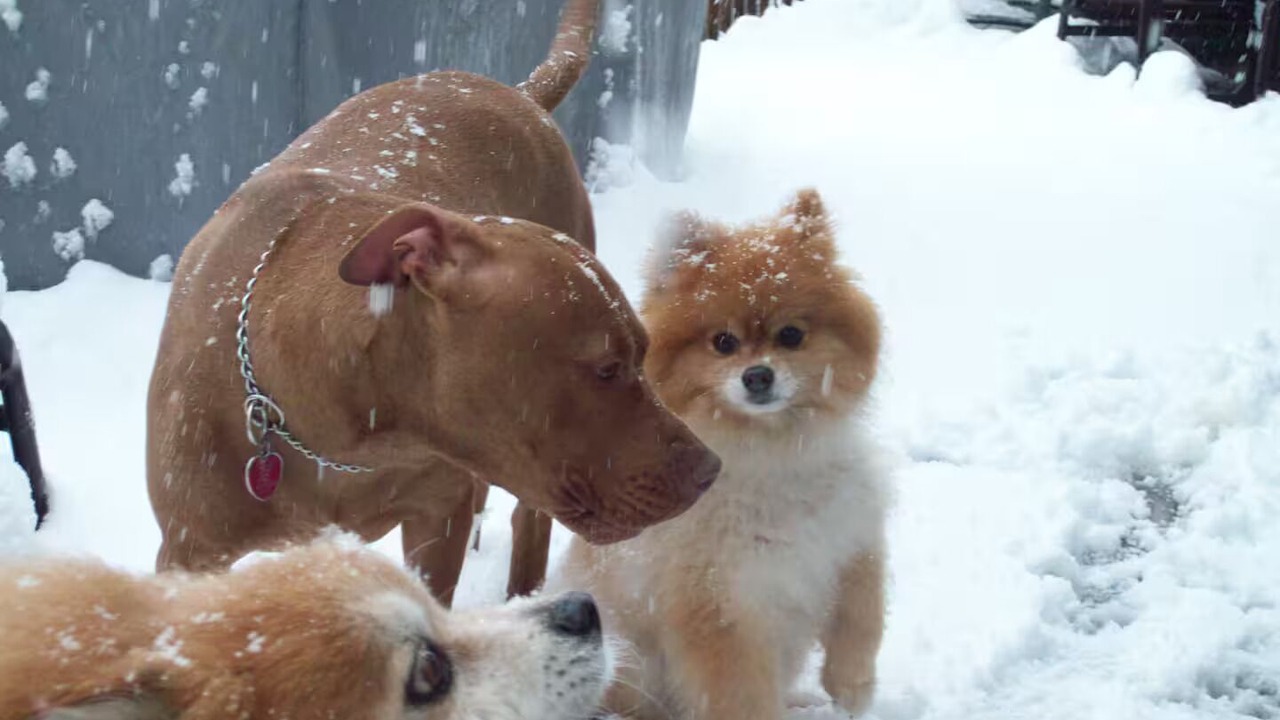 Photo of Outdoor in Wappingers Falls