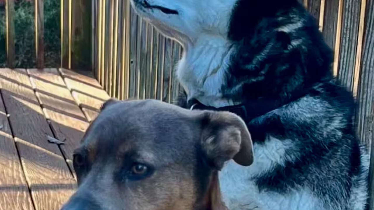 Photo of Outdoor in Wappingers Falls