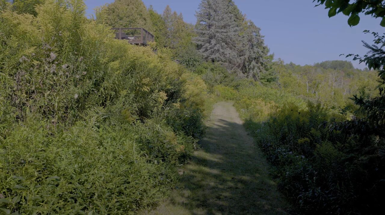 Photo of Outdoor in Tyrone