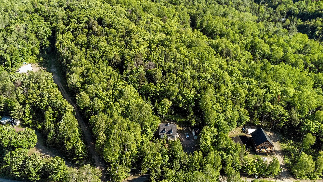 Photo of Outdoor in Mandeville