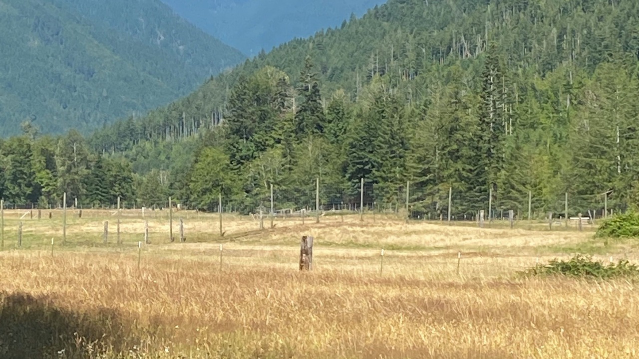 Photo of Others in West Hills