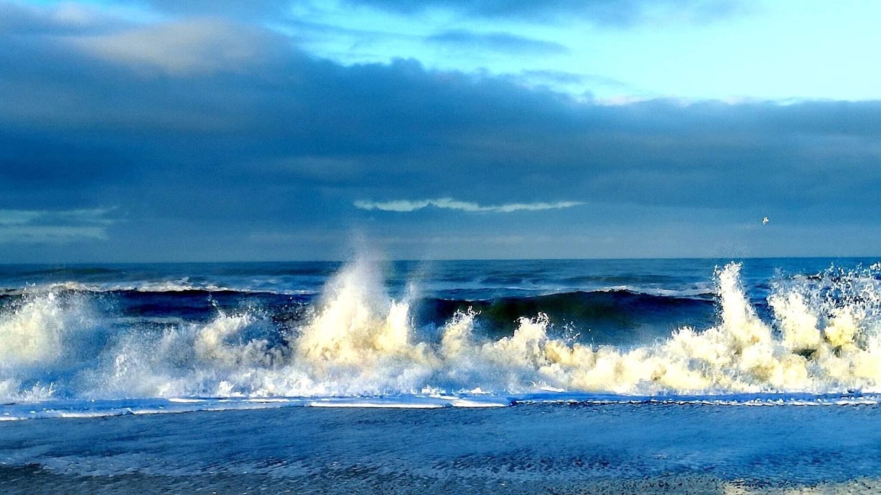 Photo of Others in Harboore