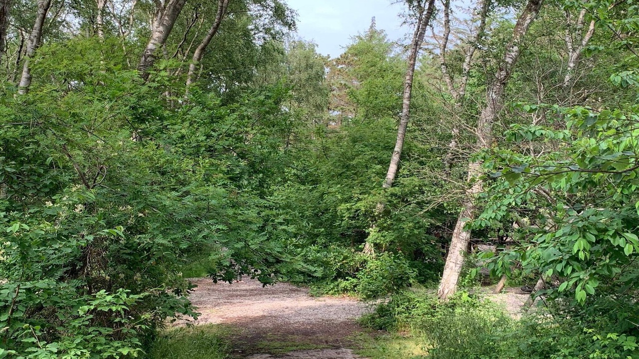 Photo of Others in Frederiksvaerk