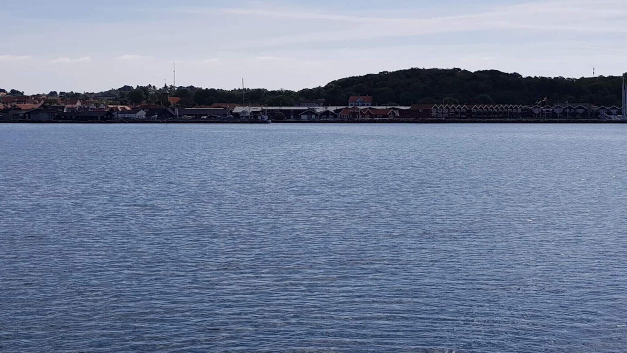 Photo of Others in Vibæk Strand