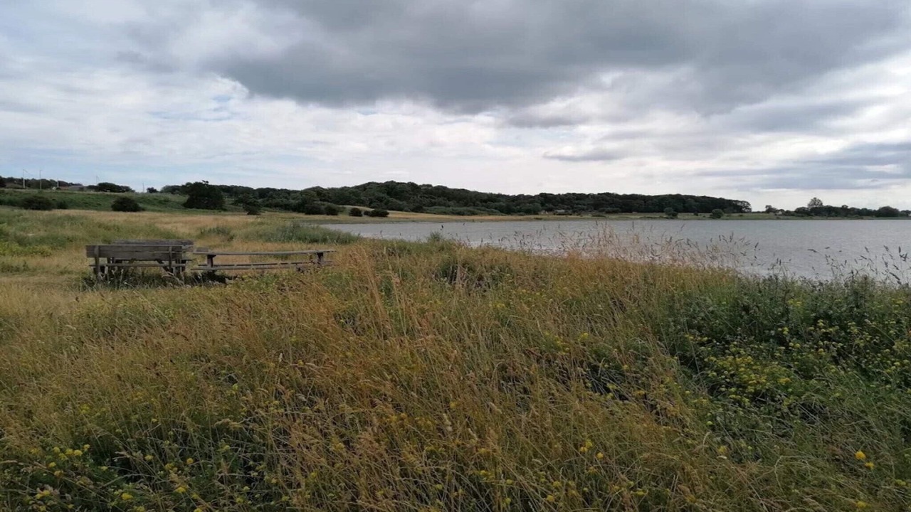 Photo of Others in Vibæk Strand