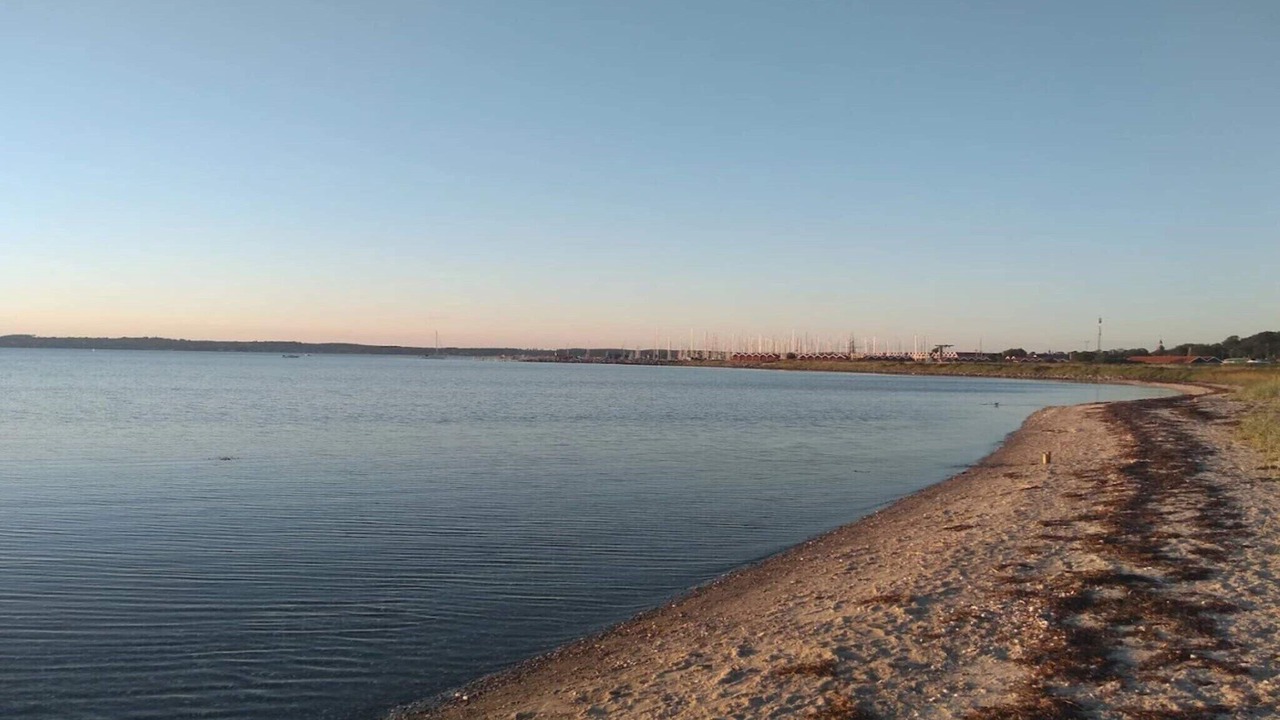 Photo of Others in Vibæk Strand