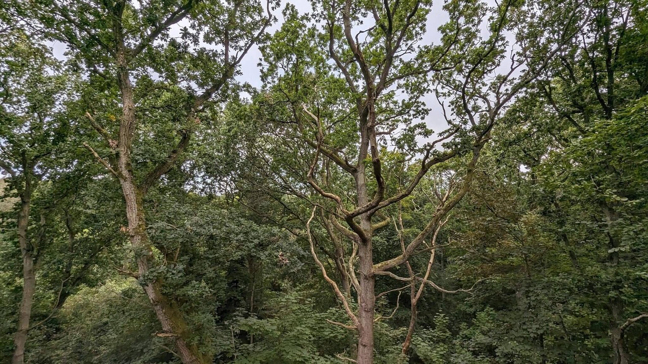 Photo of Others in Haslevgarde