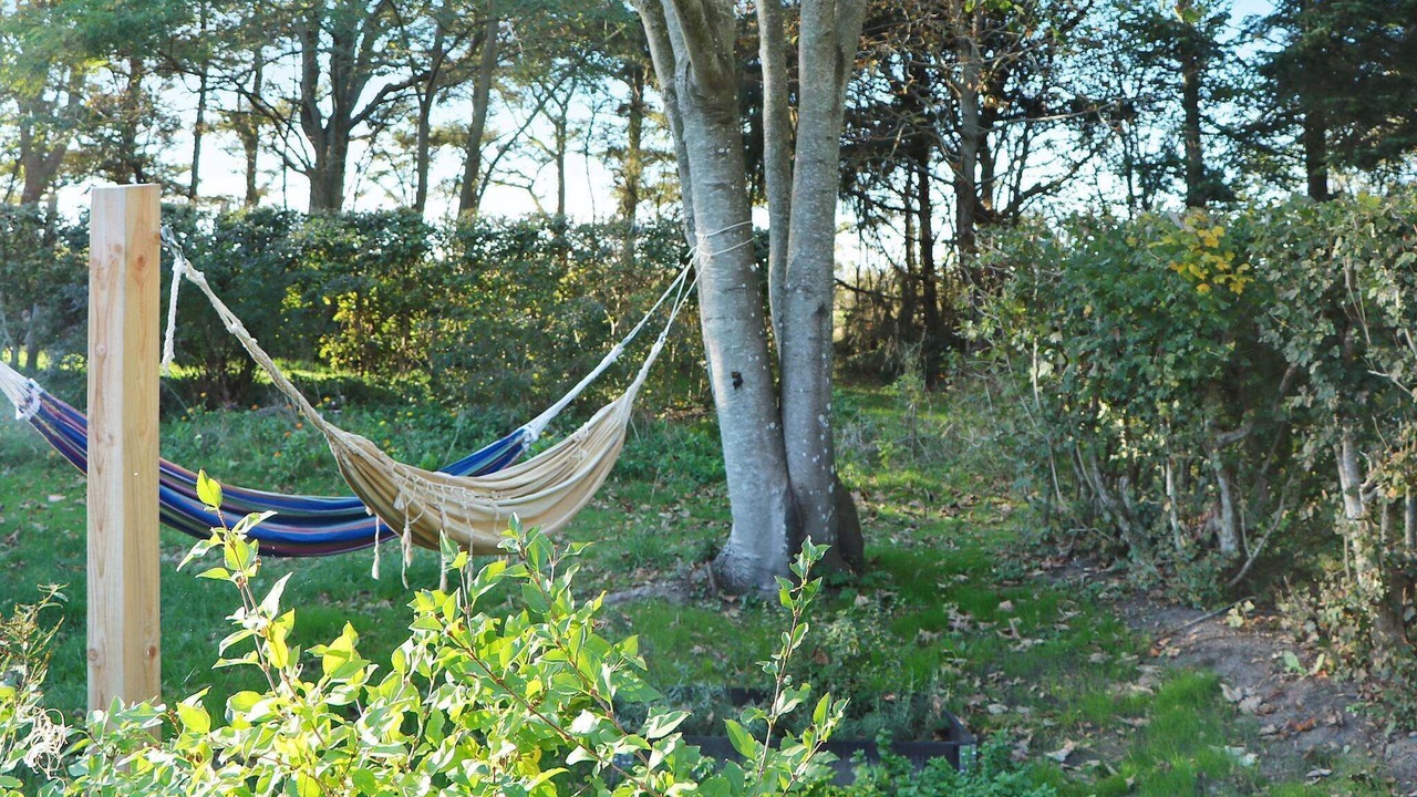 Photo of Outdoor in Ulfborg