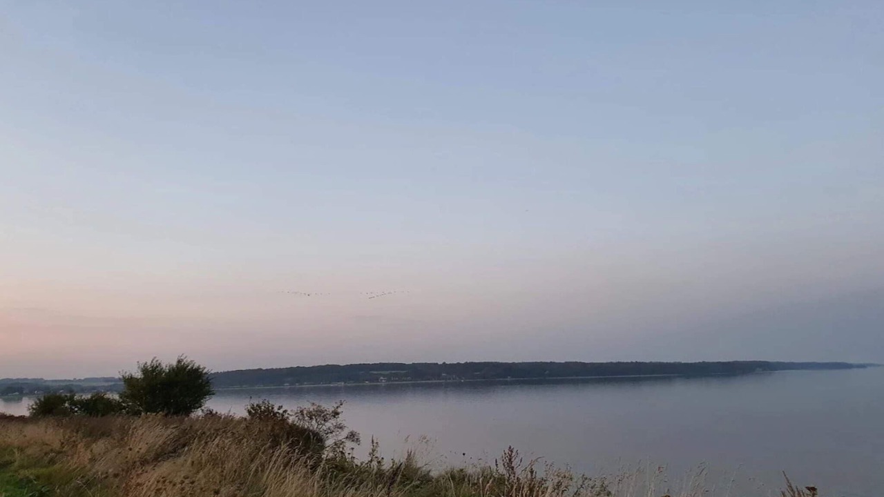 Photo of Others in Diernæs Strandby