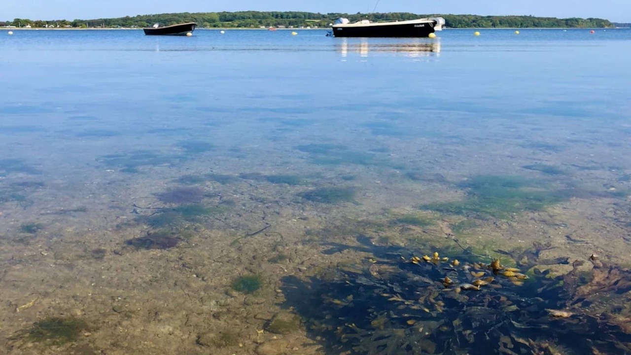 Photo of Others in Diernæs Strandby