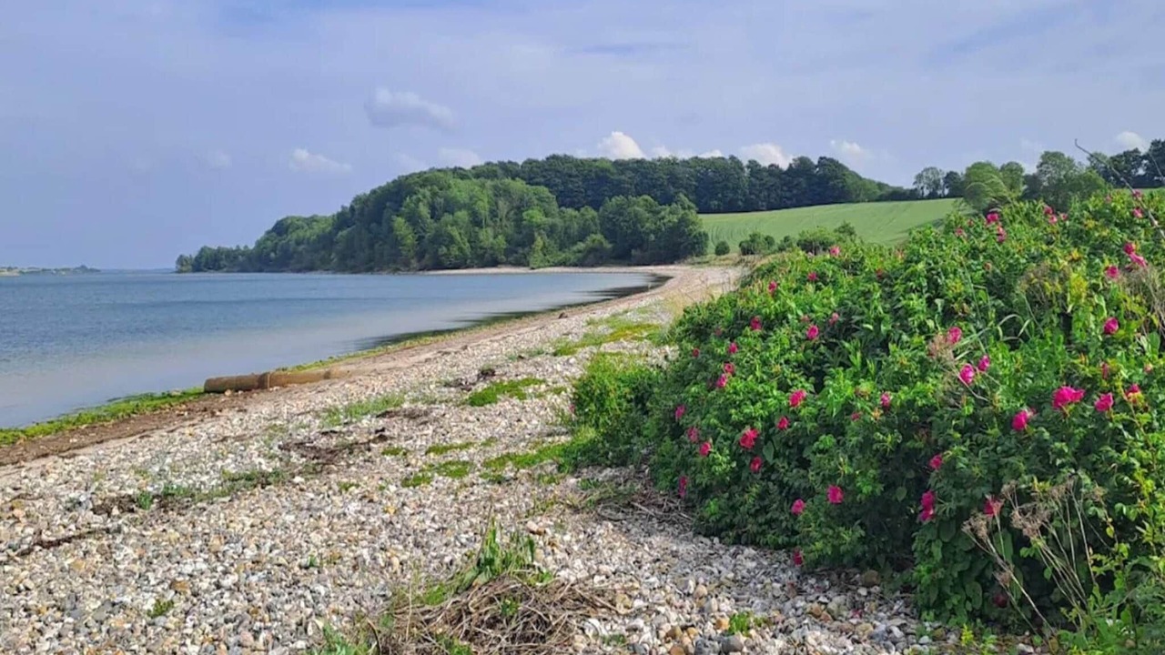 Photo of Others in Diernæs Strandby