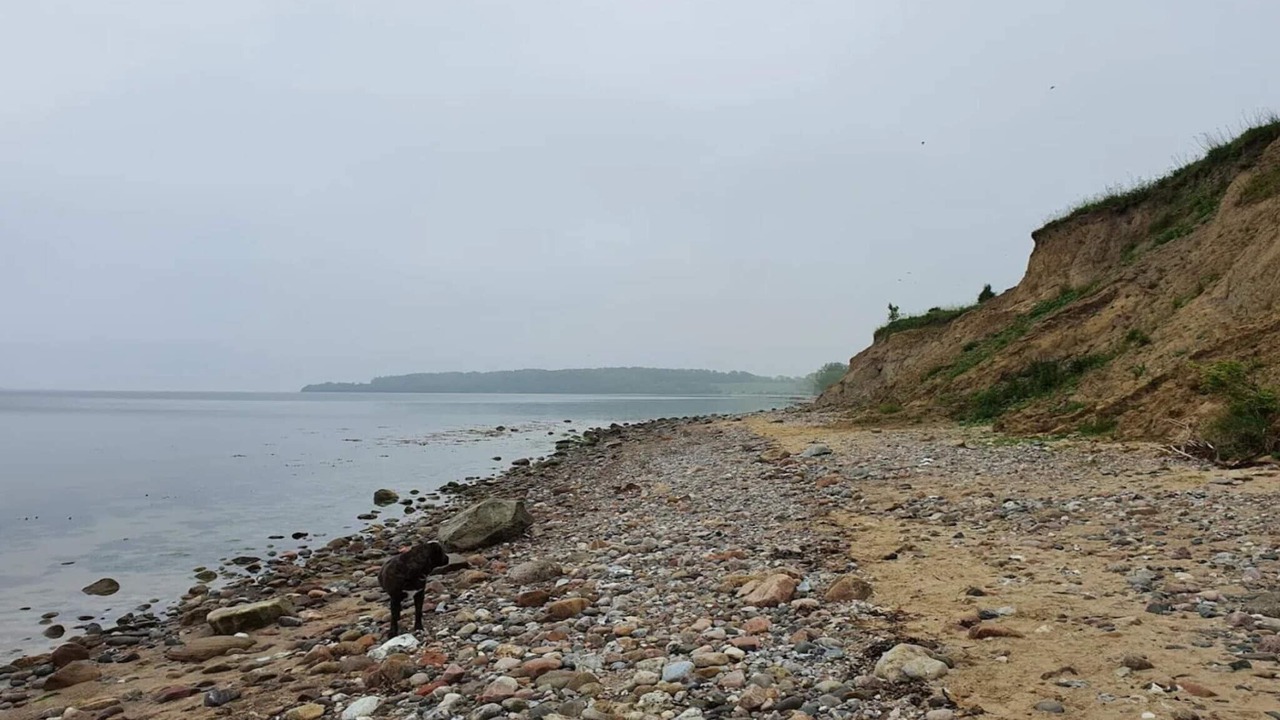 Photo of Others in Diernæs Strandby