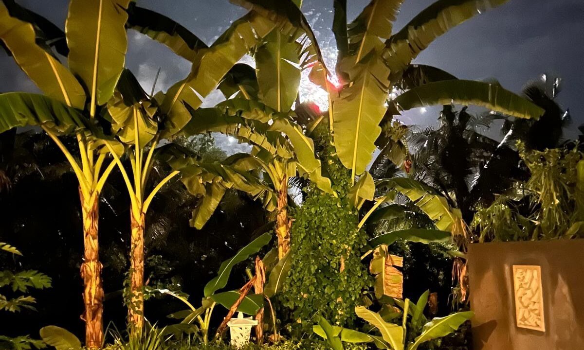 Photo of Outdoor in Jasri