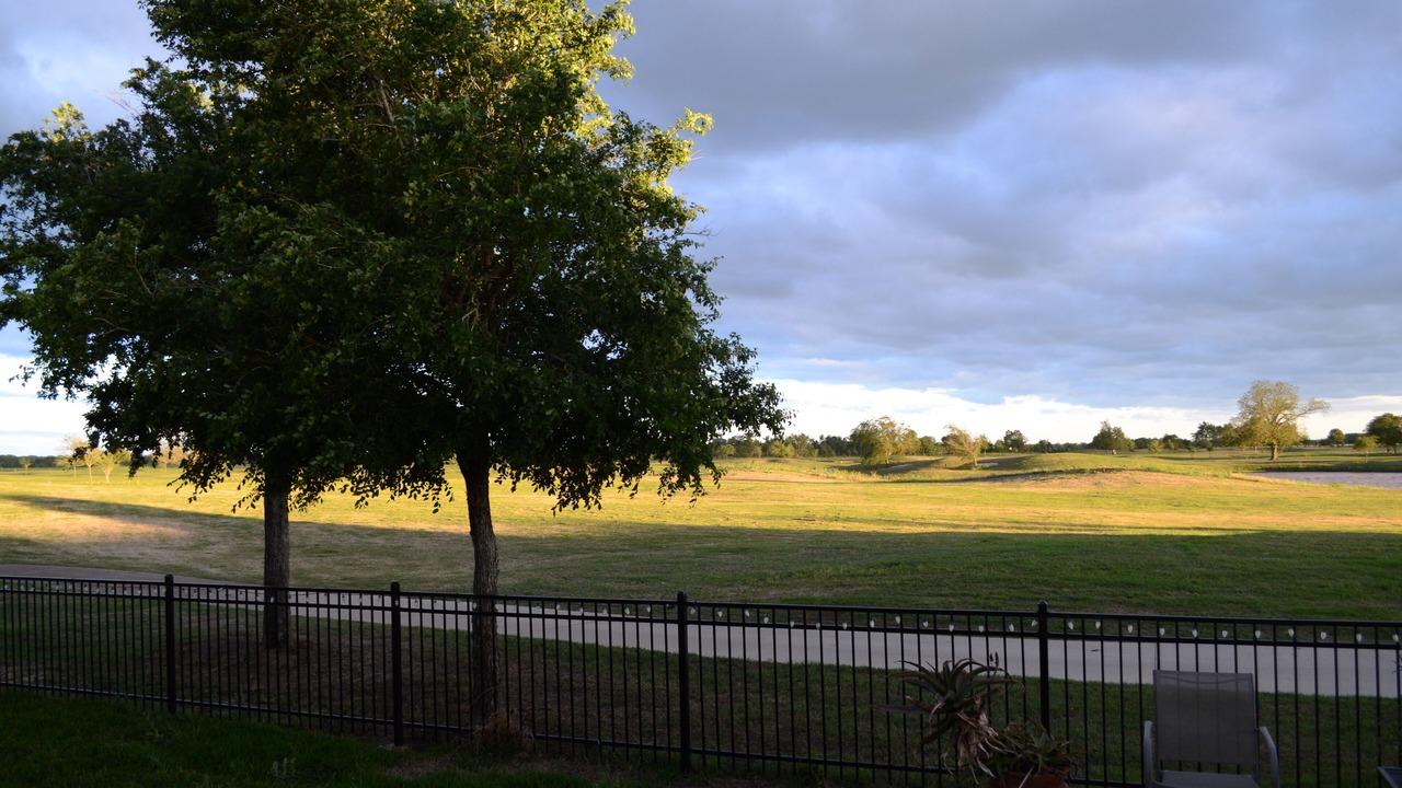 Photo of Outdoor in Navasota