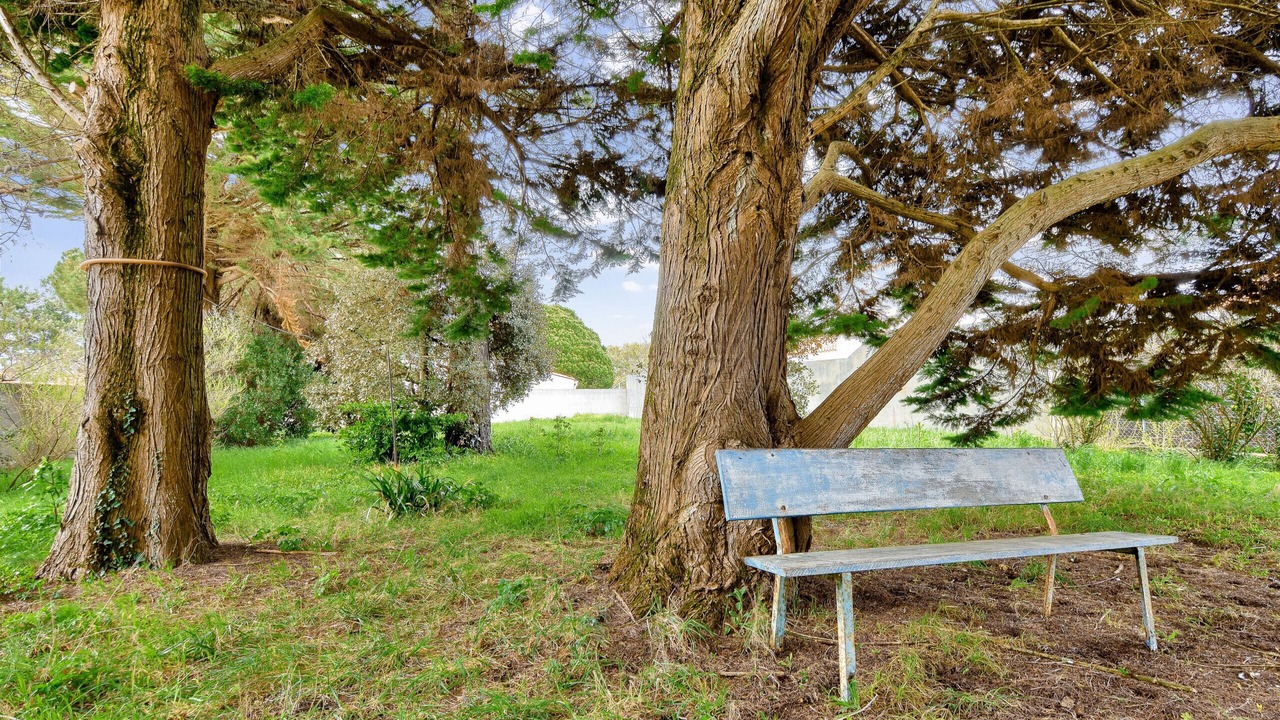 Photo of Outdoor in La Gueriniere