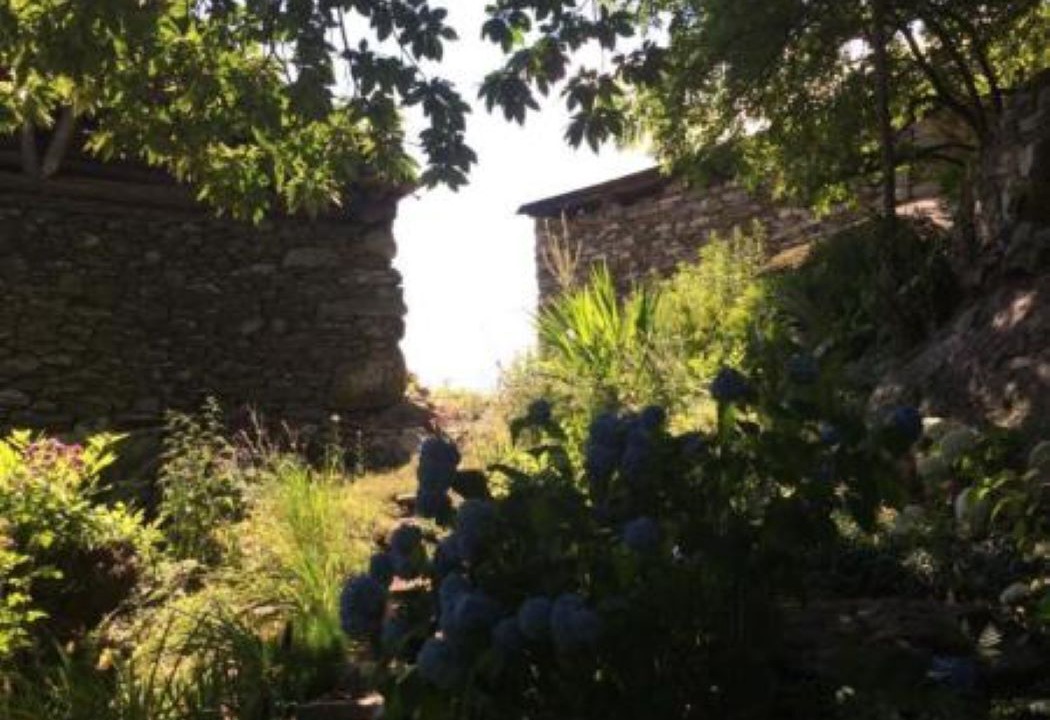 Photo of Outdoor in Lavizzara