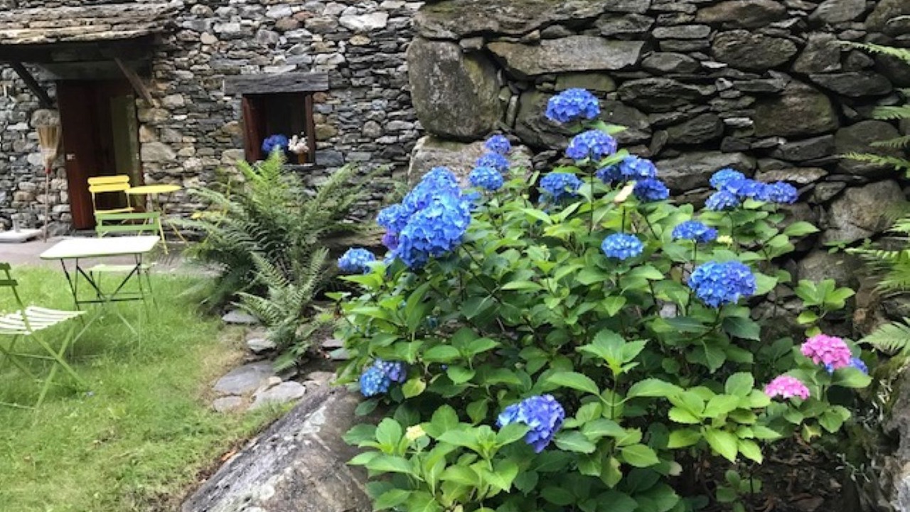 Photo of Outdoor in Lavizzara
