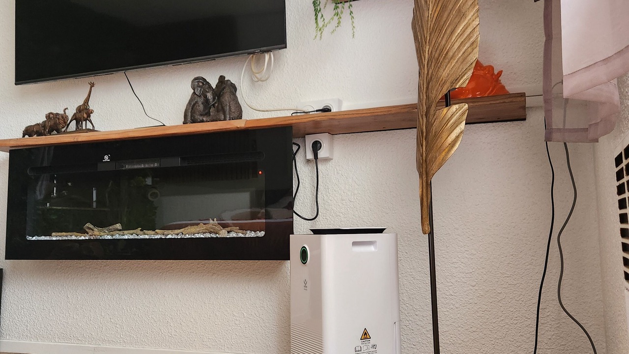 Photo of Others in Carquefou