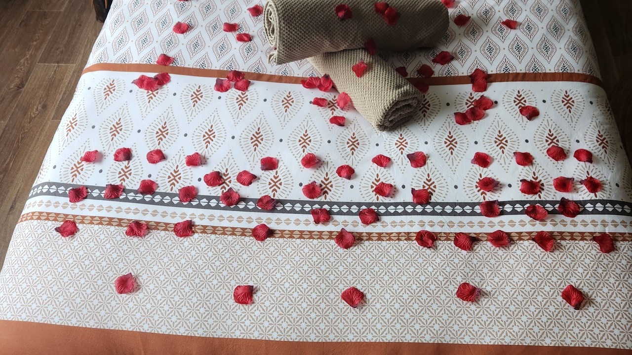 Photo of Bedroom in Carquefou