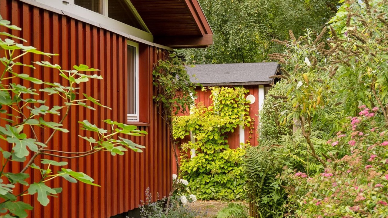 Photo of Others in Holloselund