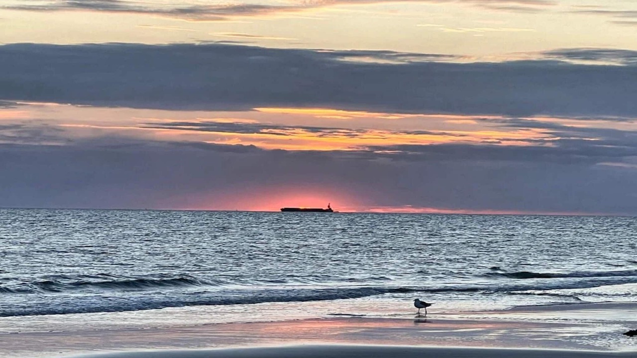 Photo of Others in Rindby Strand