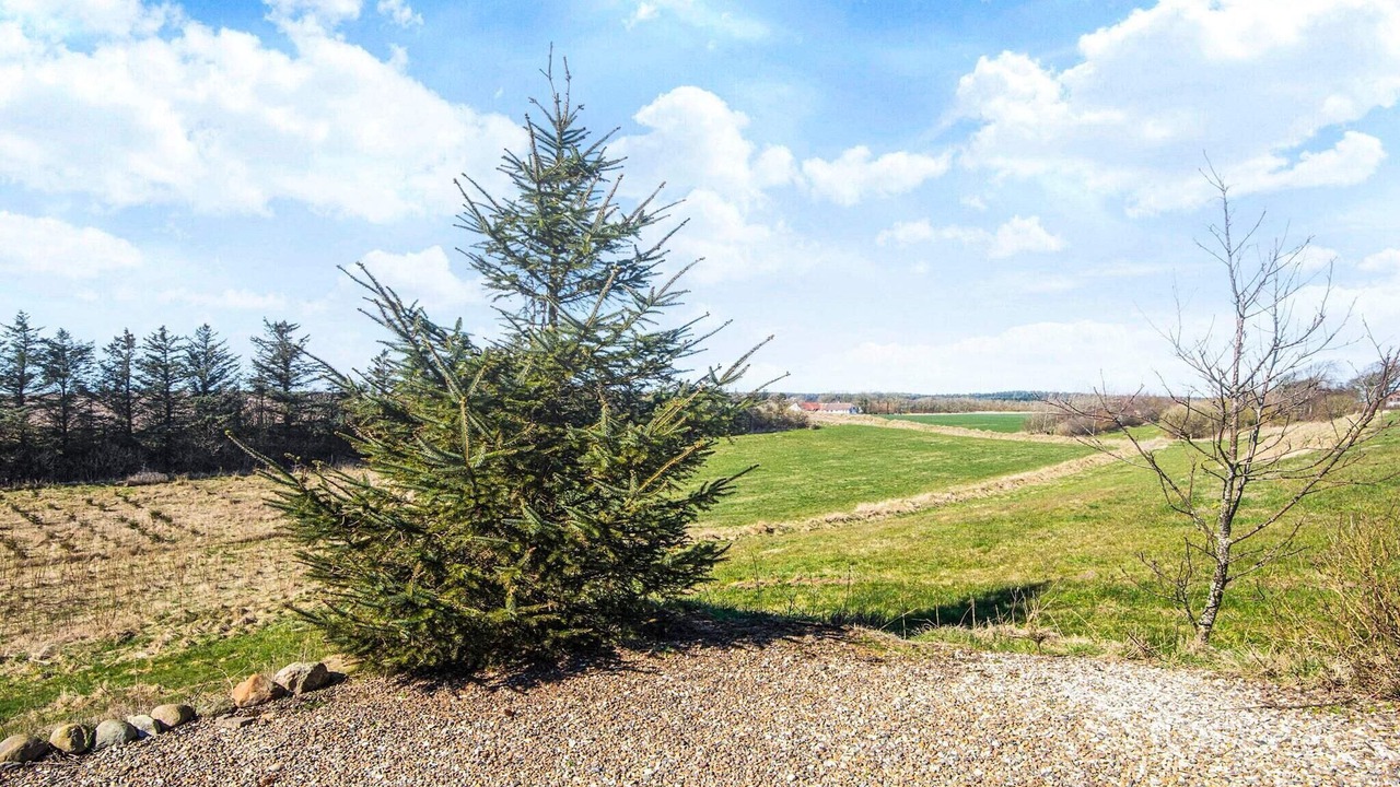 Photo of Outdoor in Snedsted