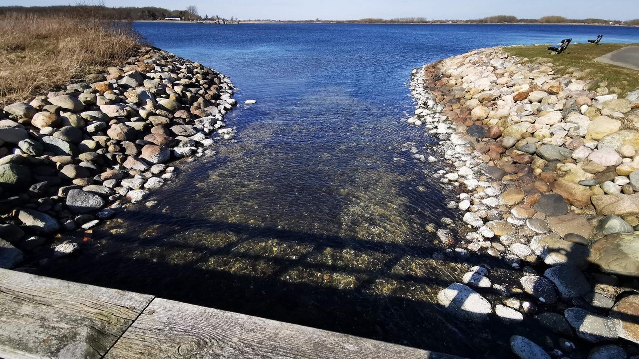 Photo of Others in Aalborg Midtby