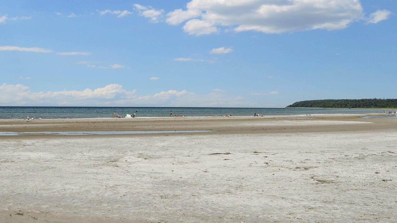 Photo of Others in Bønnerup Strand