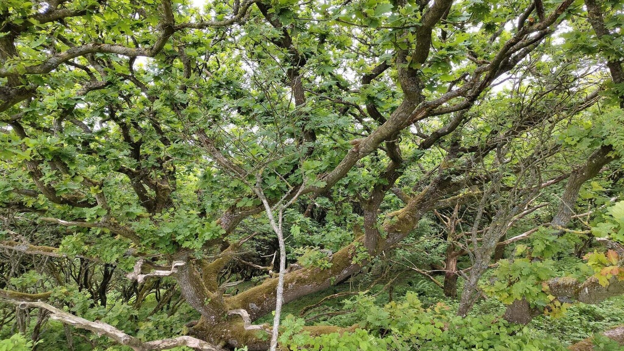 Photo of Others in Lihme