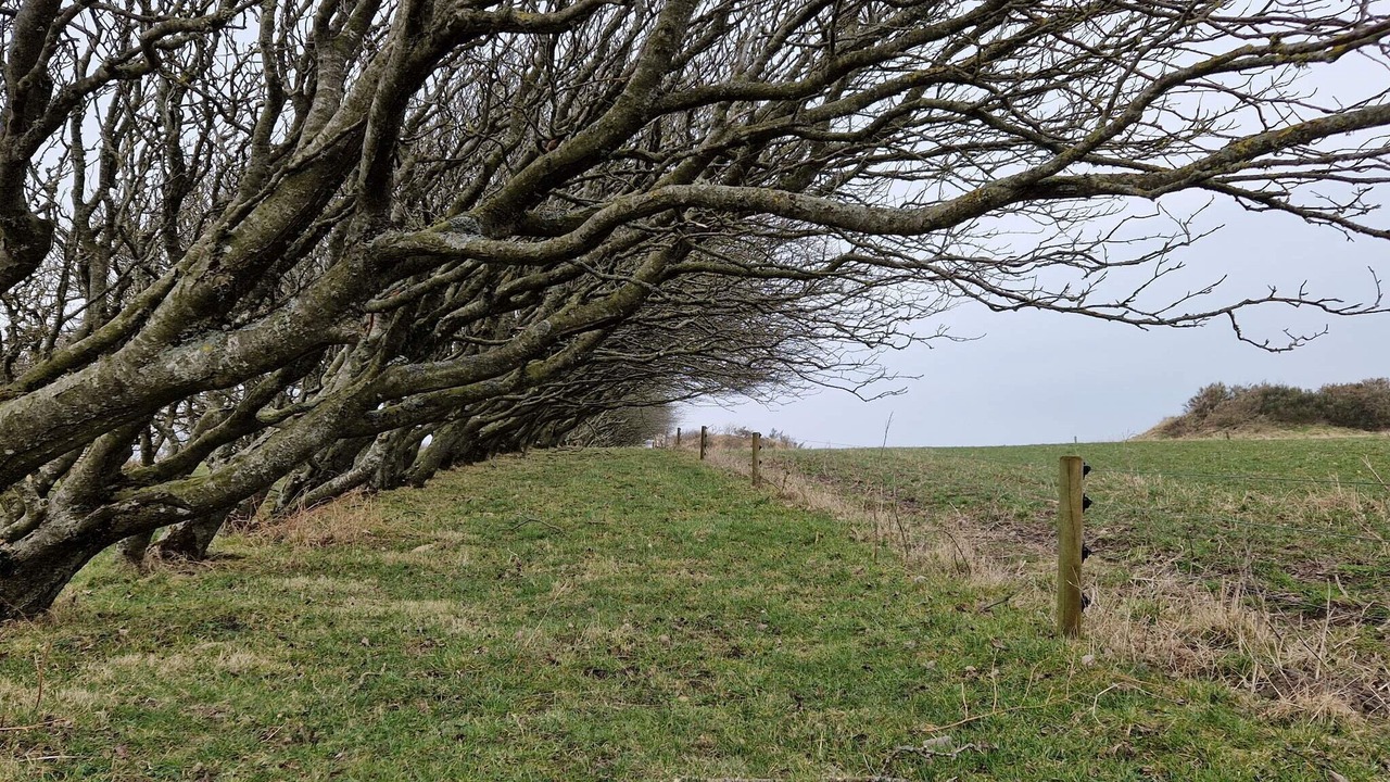 Photo of Others in Lihme