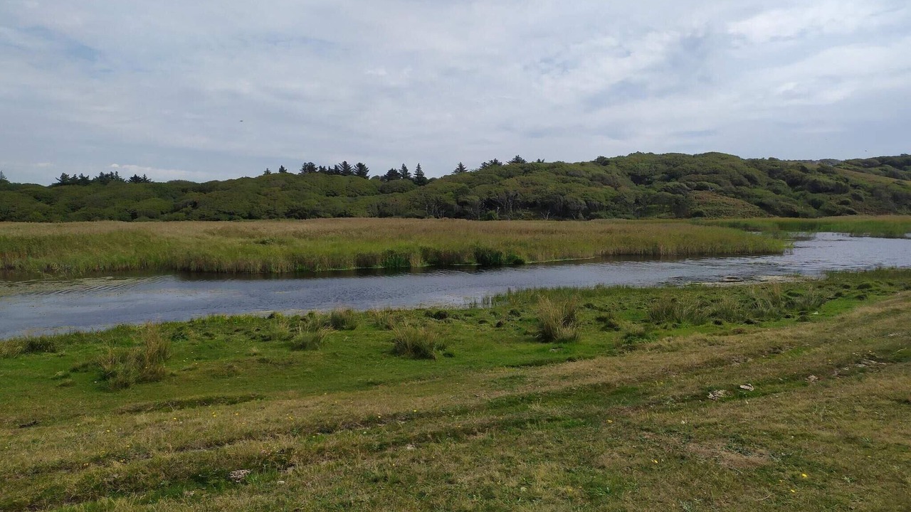 Photo of Others in Lihme