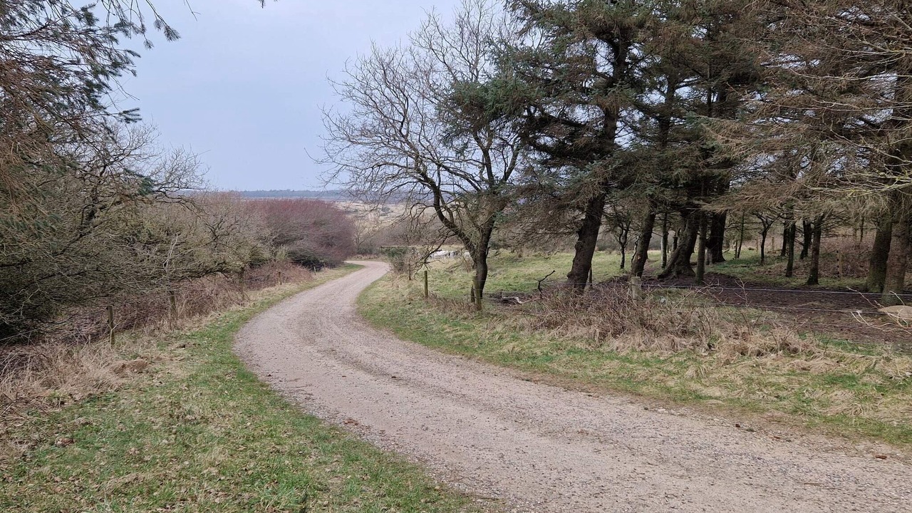 Photo of Others in Lihme