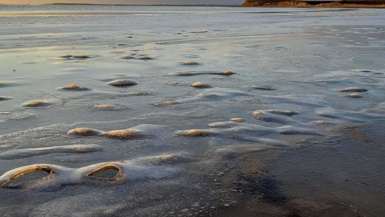 Photo of Others in Lihme