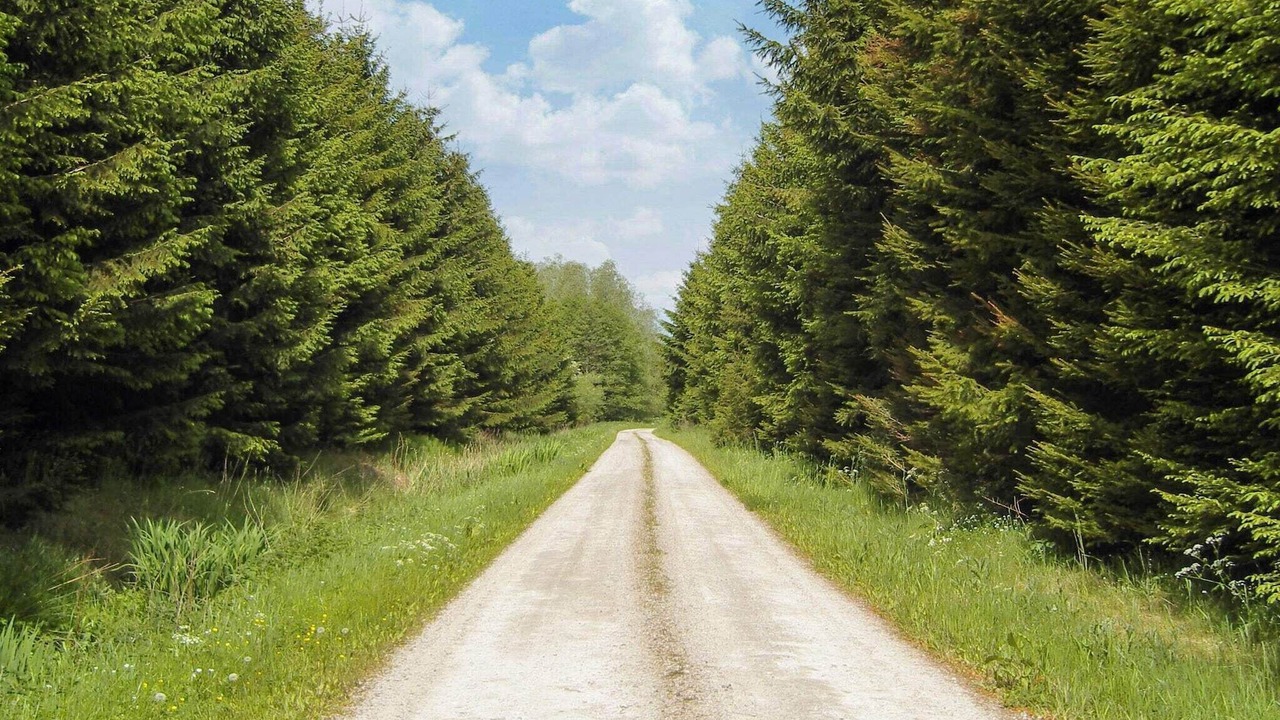 Photo of Others in Storvorde