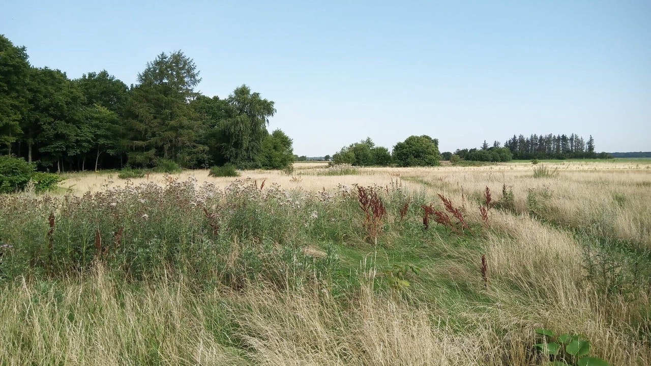 Photo of Others in Storvorde