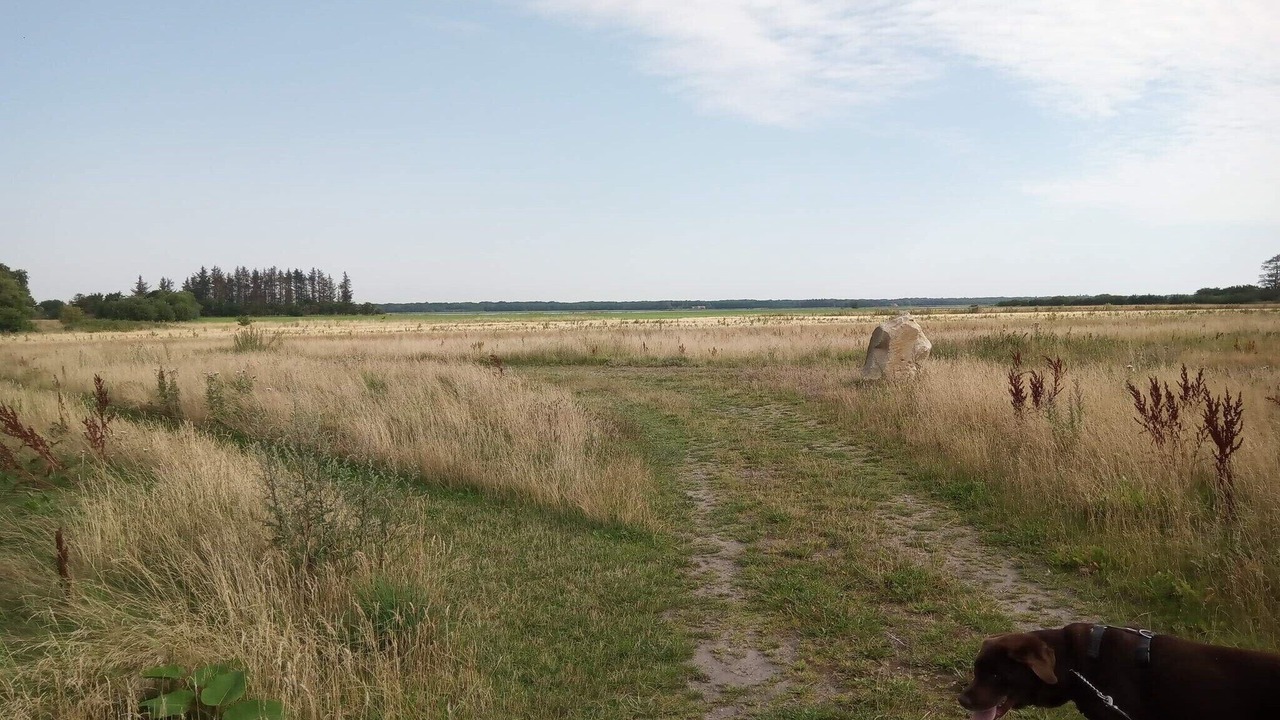 Photo of Others in Storvorde
