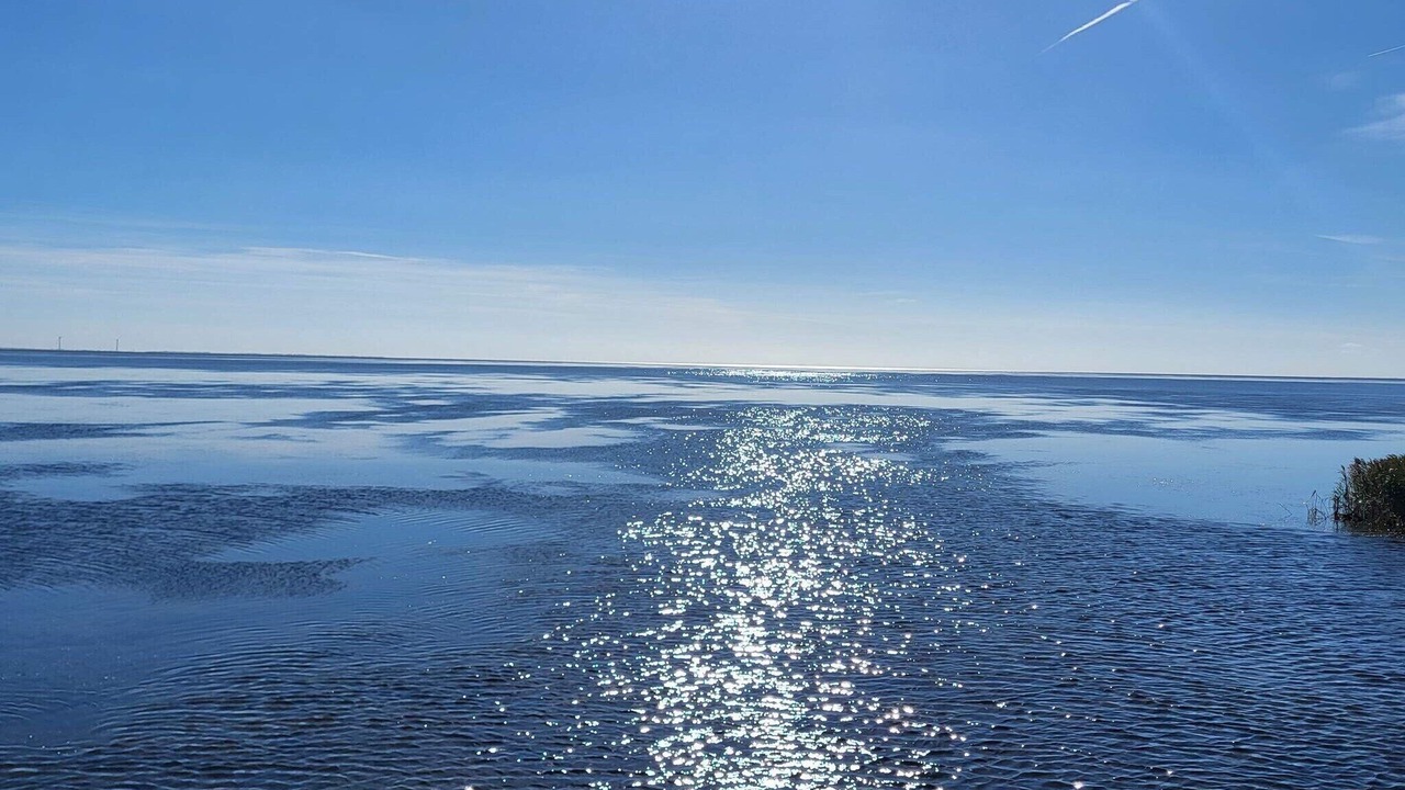 Photo of Others in Houvig Strand