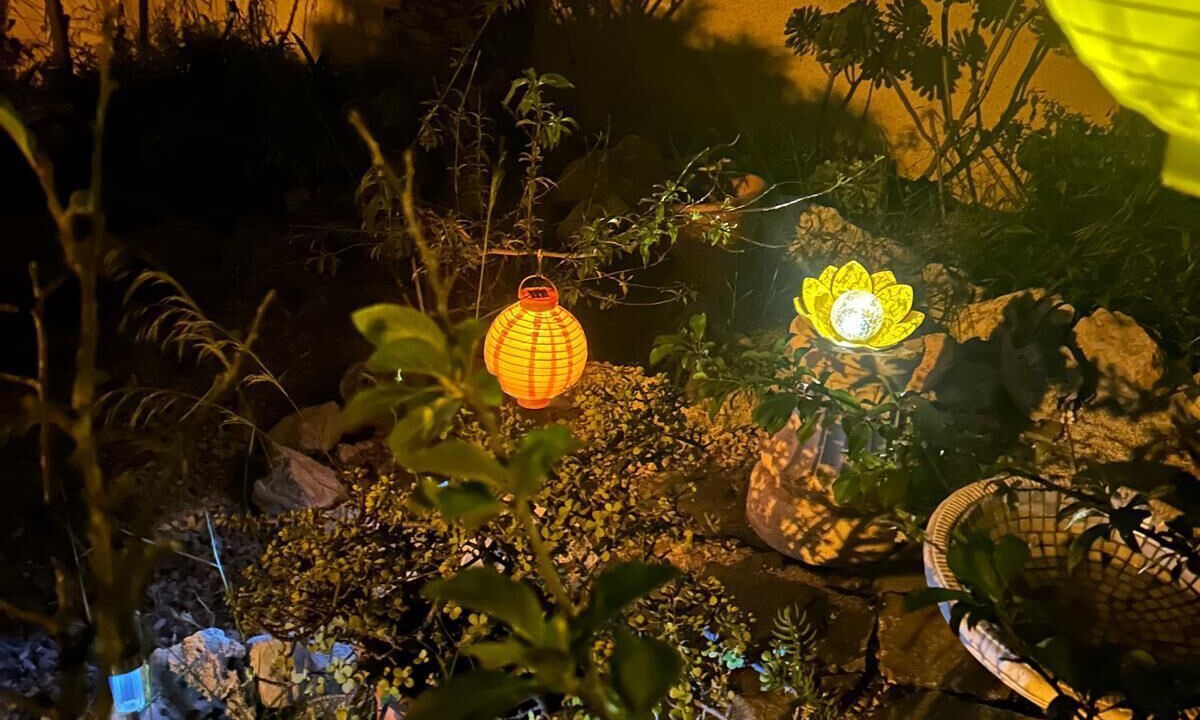 Photo of Outdoor in La Florida