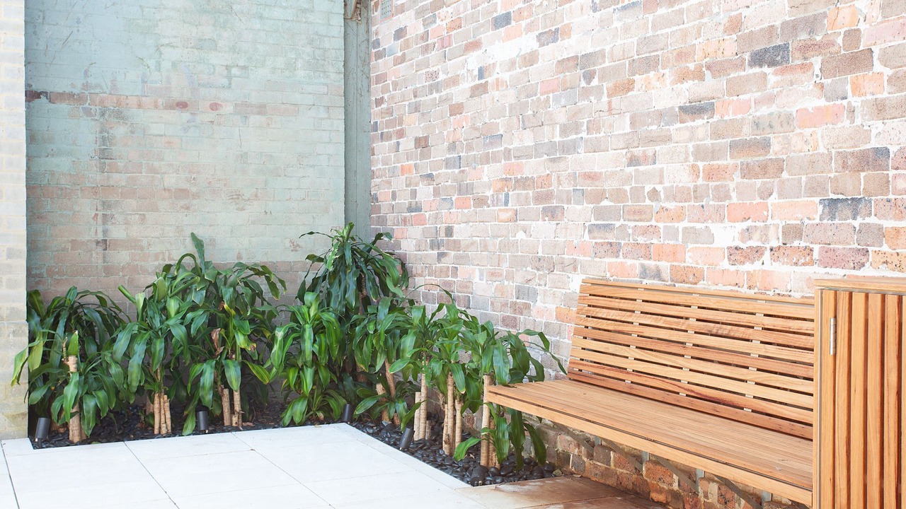 Photo of Outdoor in Annandale