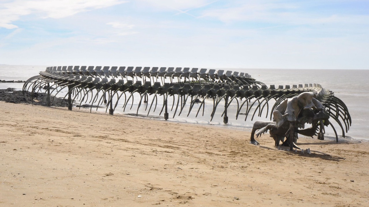 Photo of Others in Saint-Brevin-l'Ocean