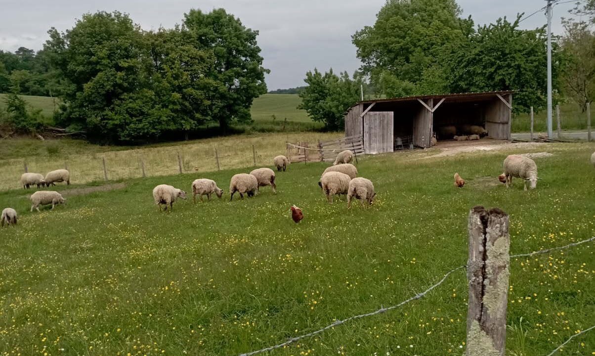 Photo of Others in Saint-Martial-Viveyrol