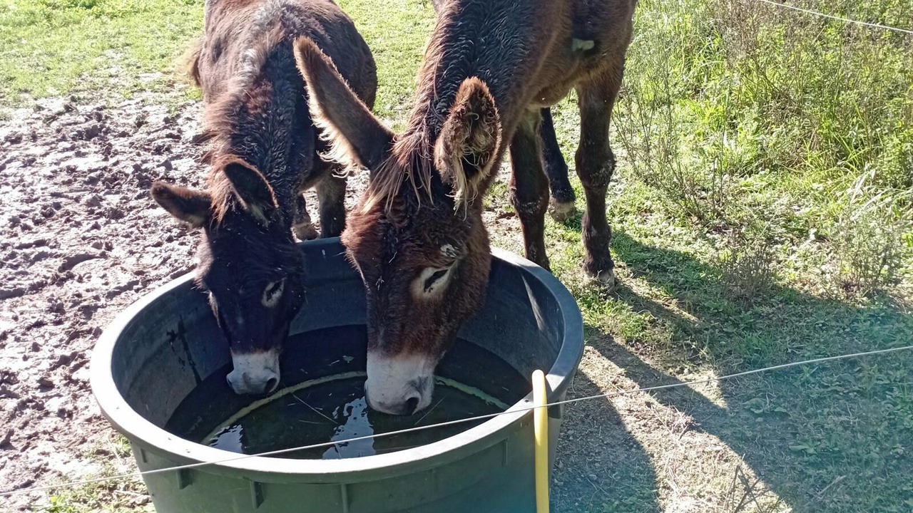 Photo of Others in Saint-Martial-Viveyrol