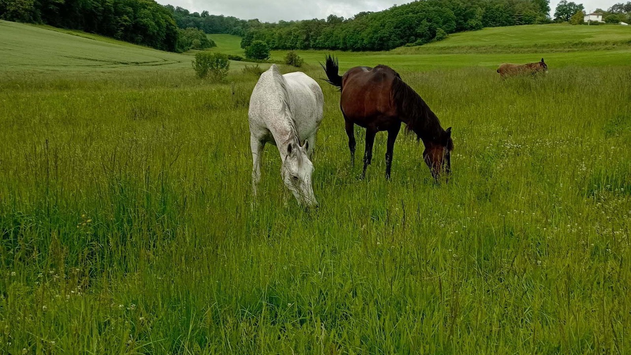 Photo of Others in Saint-Martial-Viveyrol