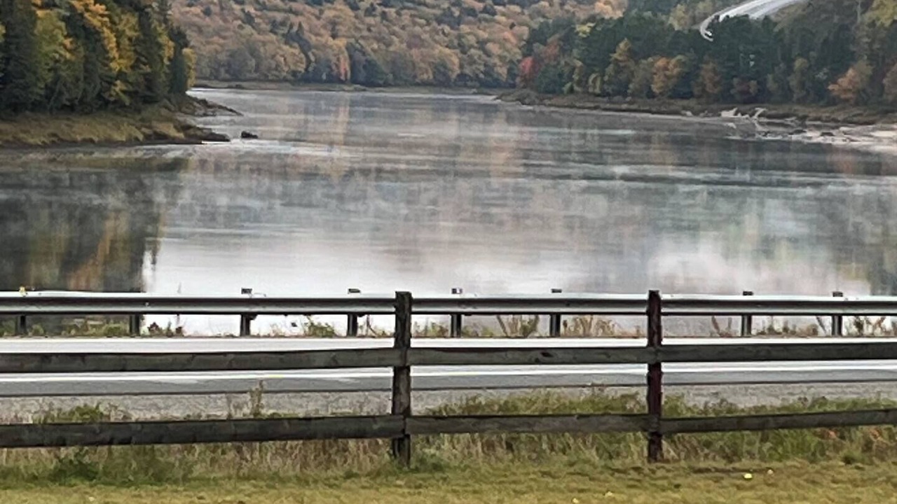 Photo of Others in Mauricie