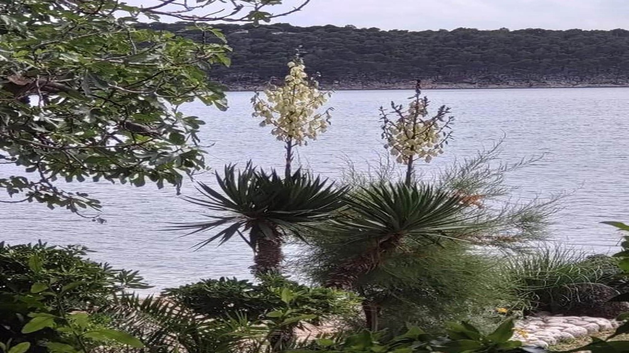 Photo of Others in Supetarska Draga