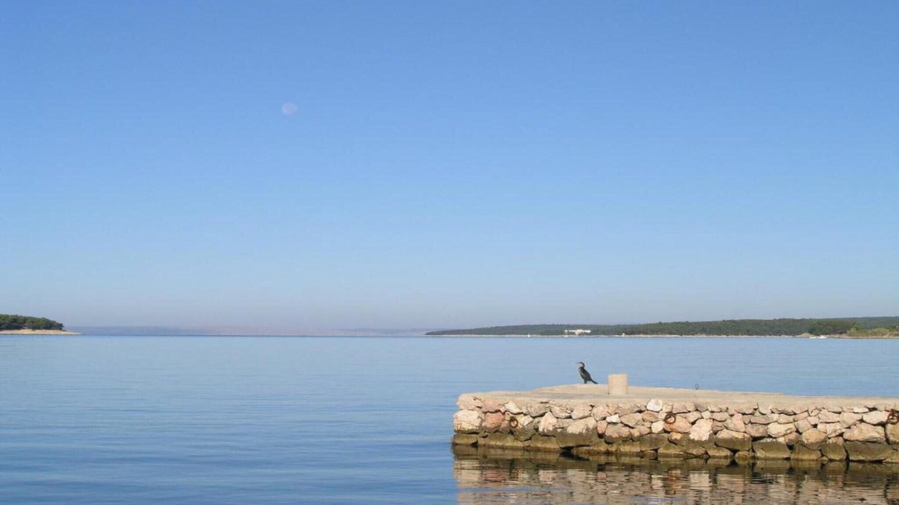 Photo of Others in Supetarska Draga